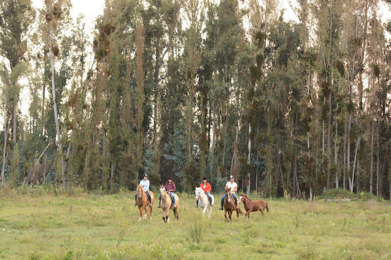 Hacienda Santa Clara Vila Peumo Exterior foto